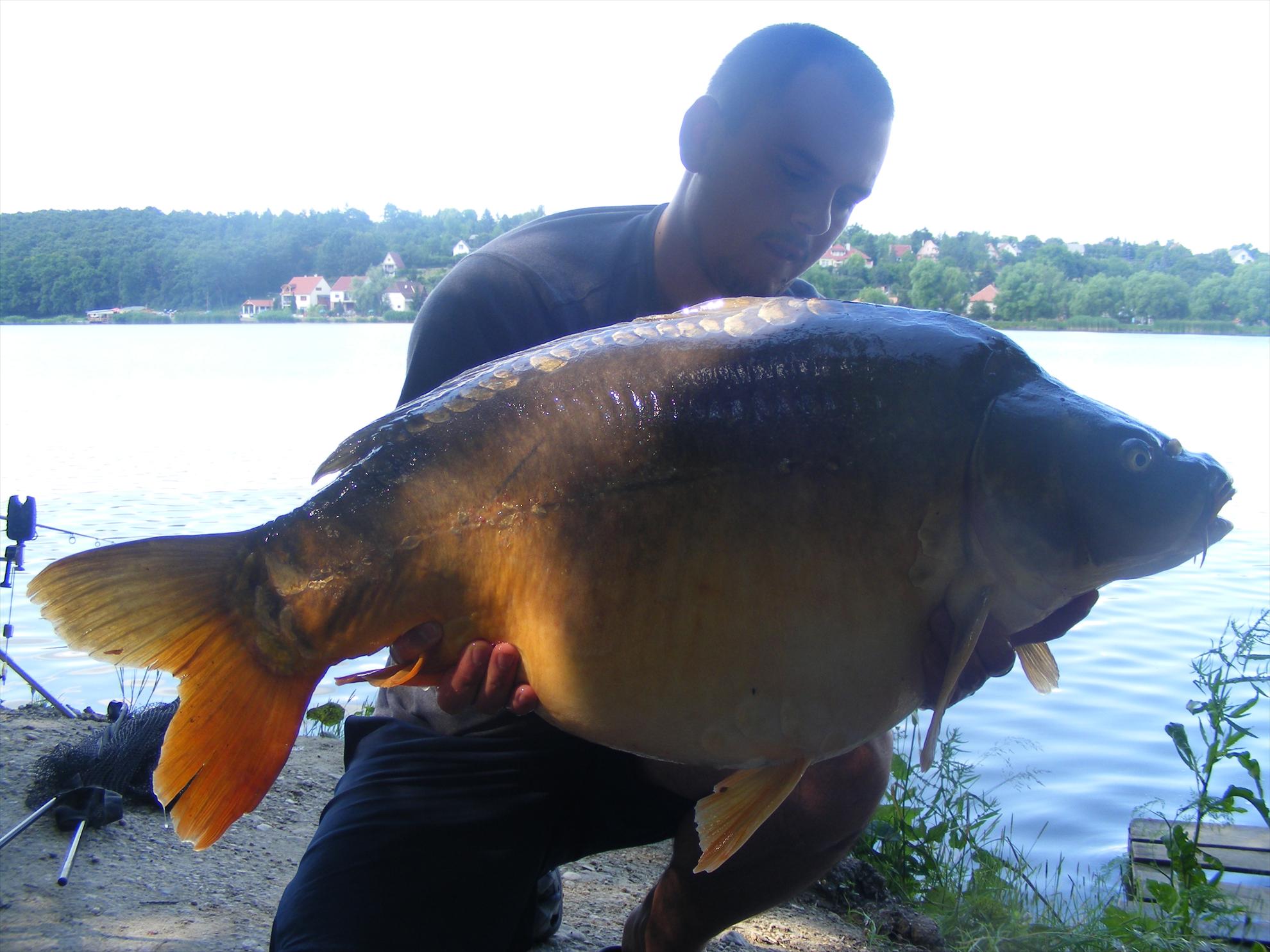 Harsanyi 2013 - dscf6372.JPG